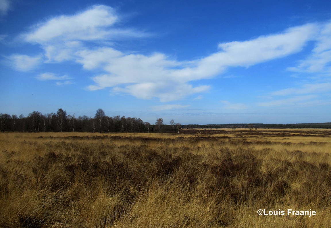 Op de terugweg over de Eder Heide genieten we van het weidse uitzicht - Foto: ©Louis Fraanje