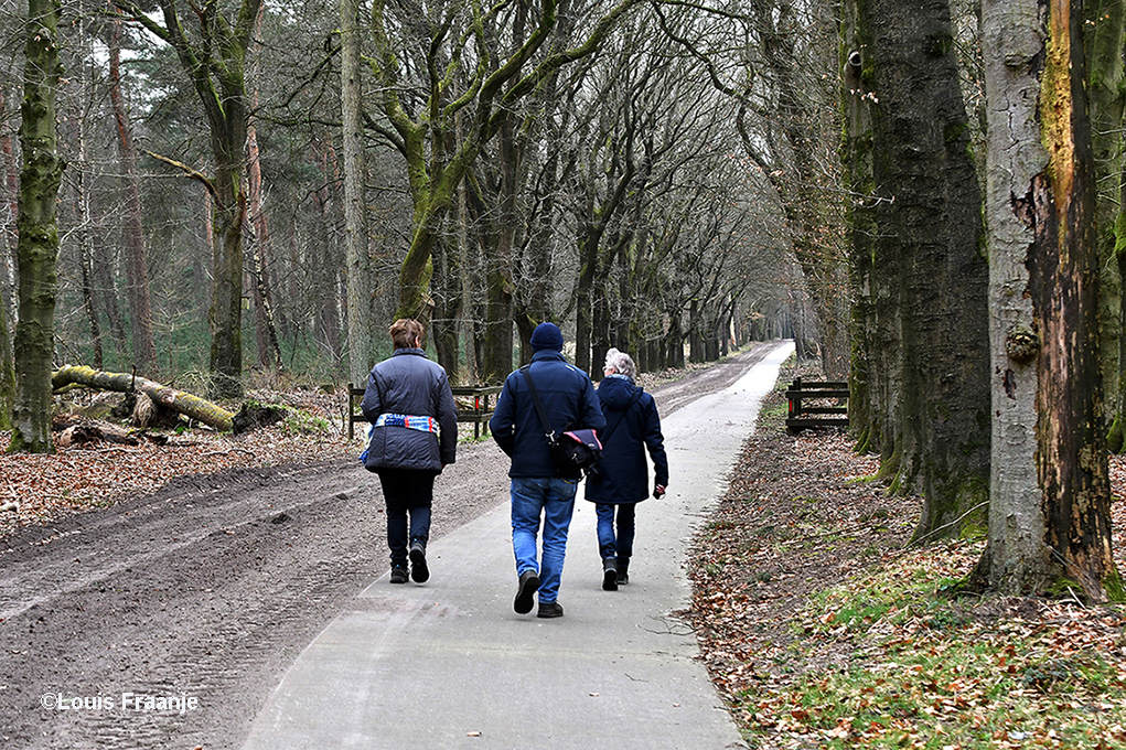 Op de terugweg over de Heidebloemallee, waar ook het prachtige fietspad ligt, ook voor wandelaars niet verkeerd - Foto: ©Louis Fraanje 