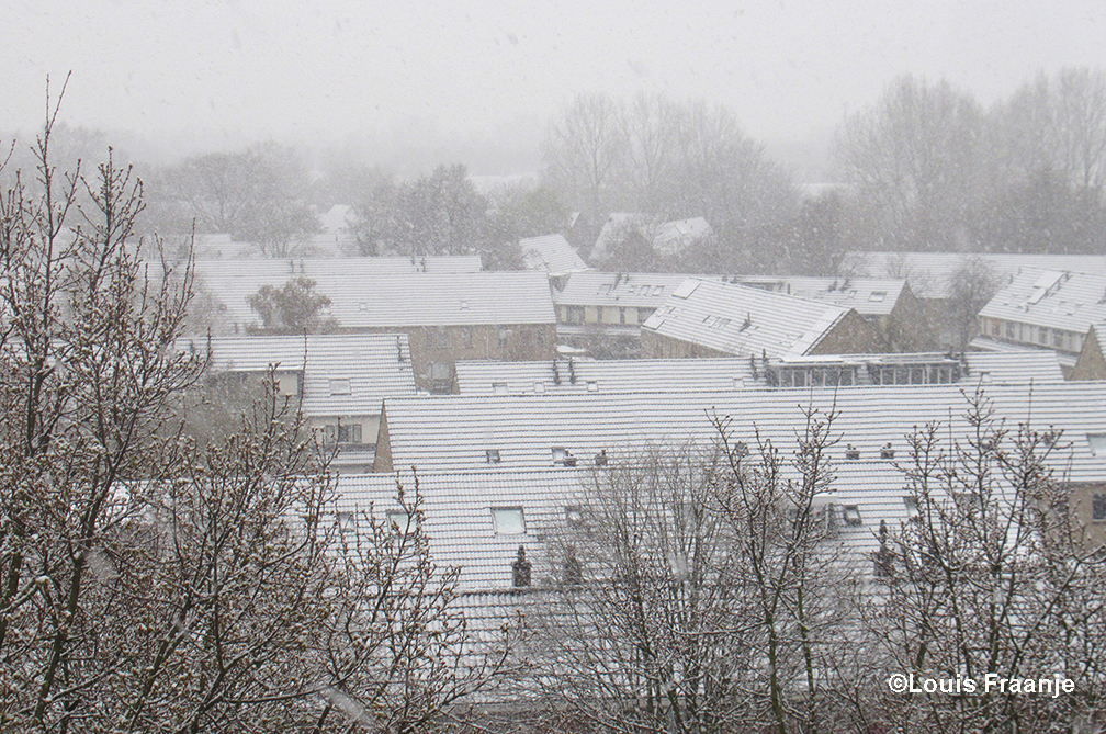 Een witte wereld met witbesneeuwde daken in Ede-Zuid - Foto: ©Louis Fraanje