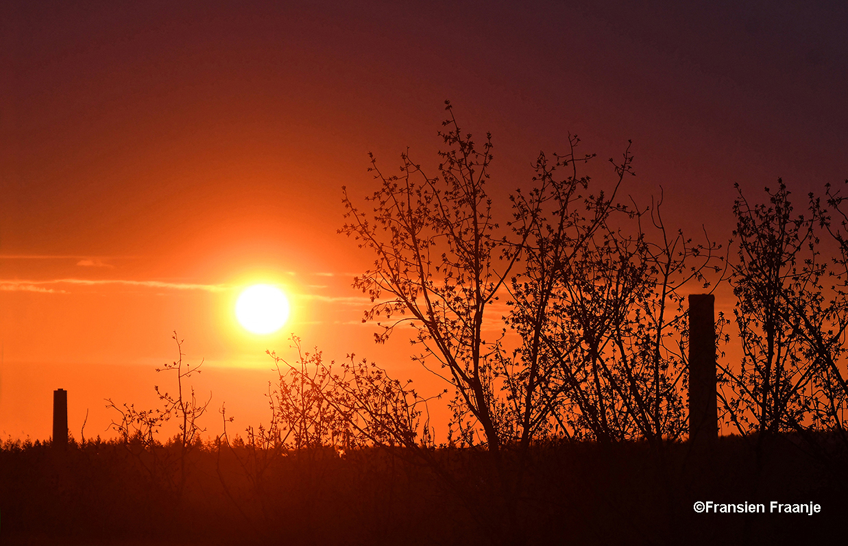 Een prachtig ochtendgloren, en daar boven hangt een donkere wolkenbank - Foto: ©Fransien Fraanje