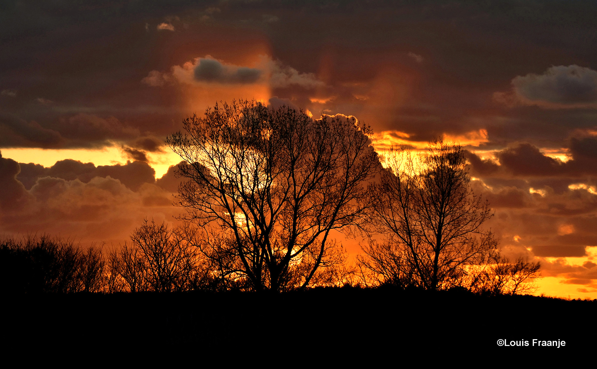 Een kromgegroeide bomengroep vormde een prachtig silhouet tegen deze bijzondere avondlucht - Foto: ©Louis Fraanje