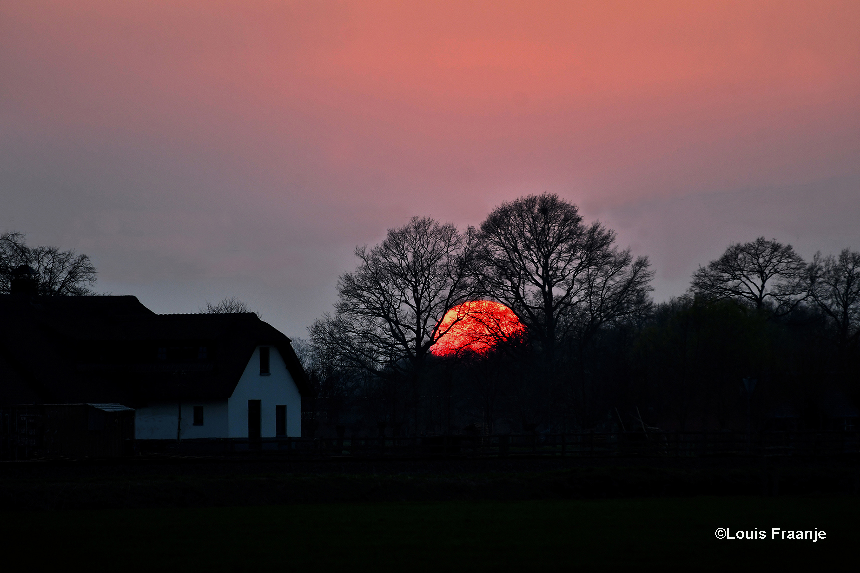 De avondzon verdwijnt als een enorme vuurrode bal, achter de hoge bomen bij een oude boerderij - Foto: ©Louis Fraanje