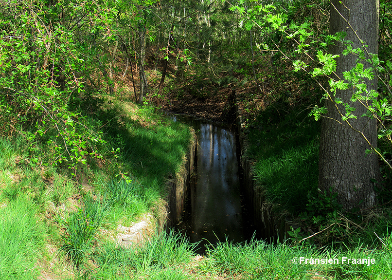 Hier gaat de beek onder het bospad door - Foto: ©Fransien Fraanje