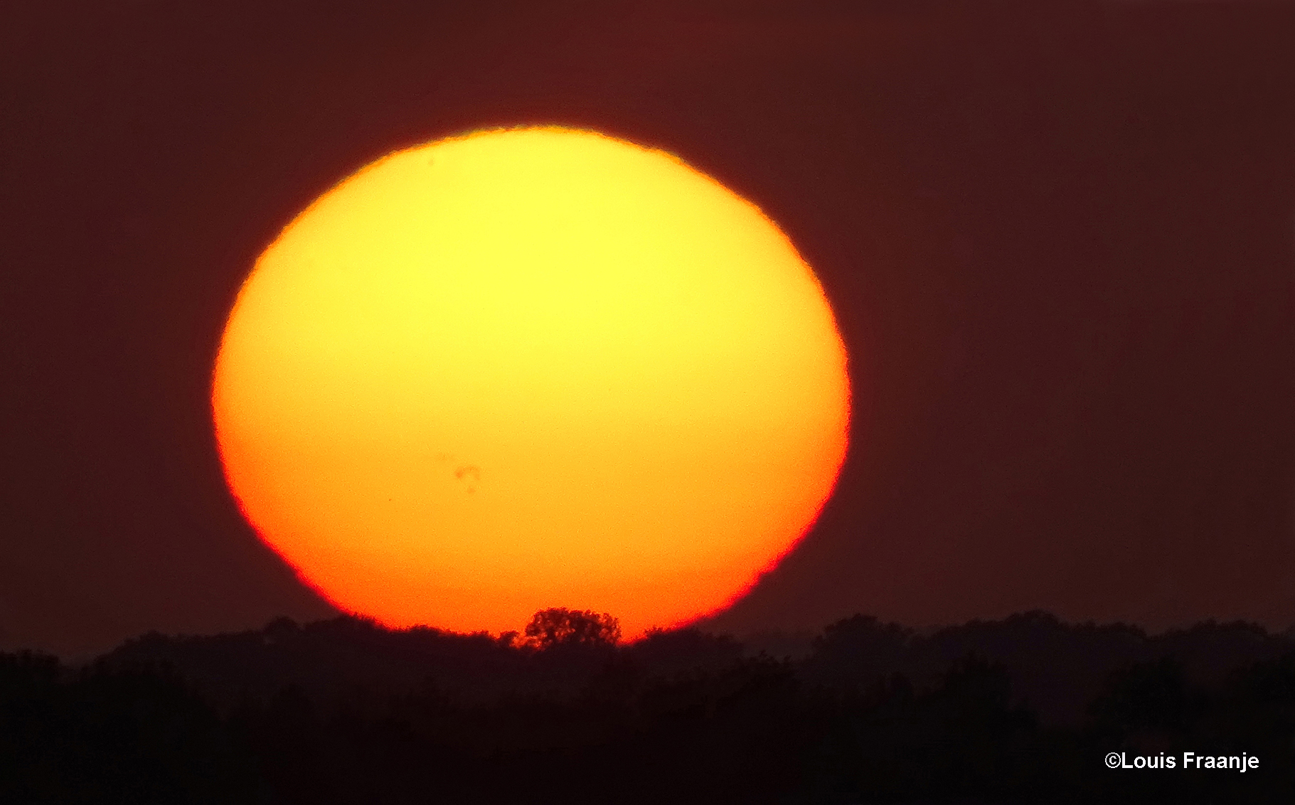 De avondzon die als een geel-oranje bol omcirceld met een vurige rode rand aan de hemel staat - Foto: ©Louis Fraanje