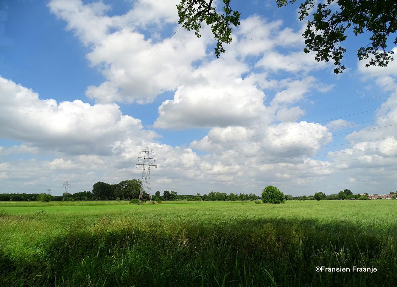 En zo ziet dat er dan uit, geweldig al die uitgestrekte weilanden en wolkenluchten - Foto: ©Fransien Fraanje