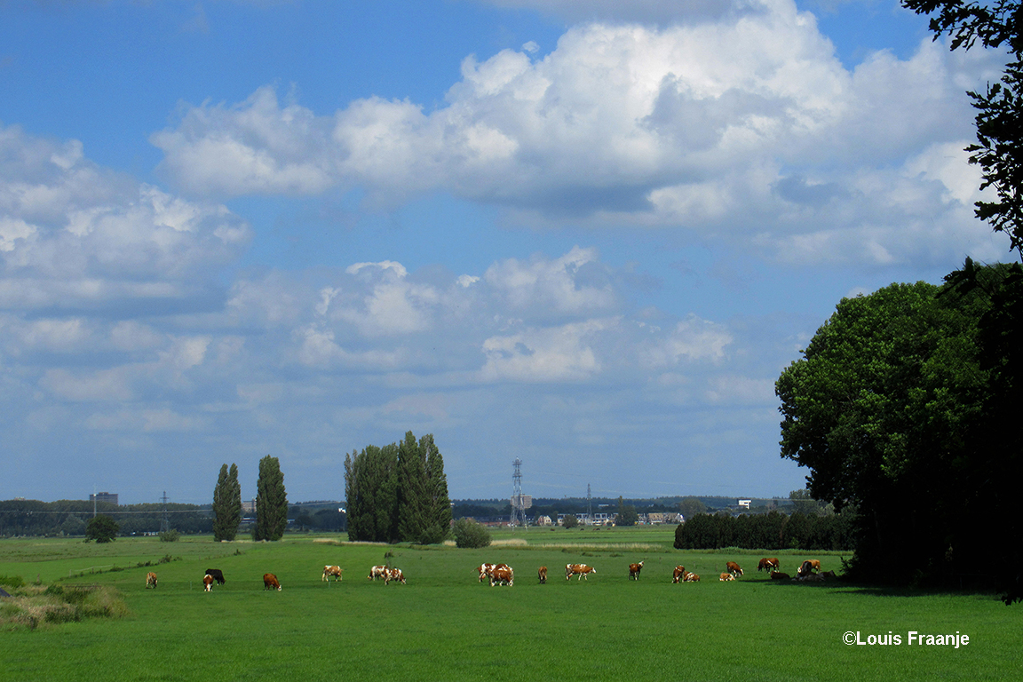 Vanaf de Cuneraweg hebben we een mooi panorama richting Wageningen - Foto: ©Louis Fraanje