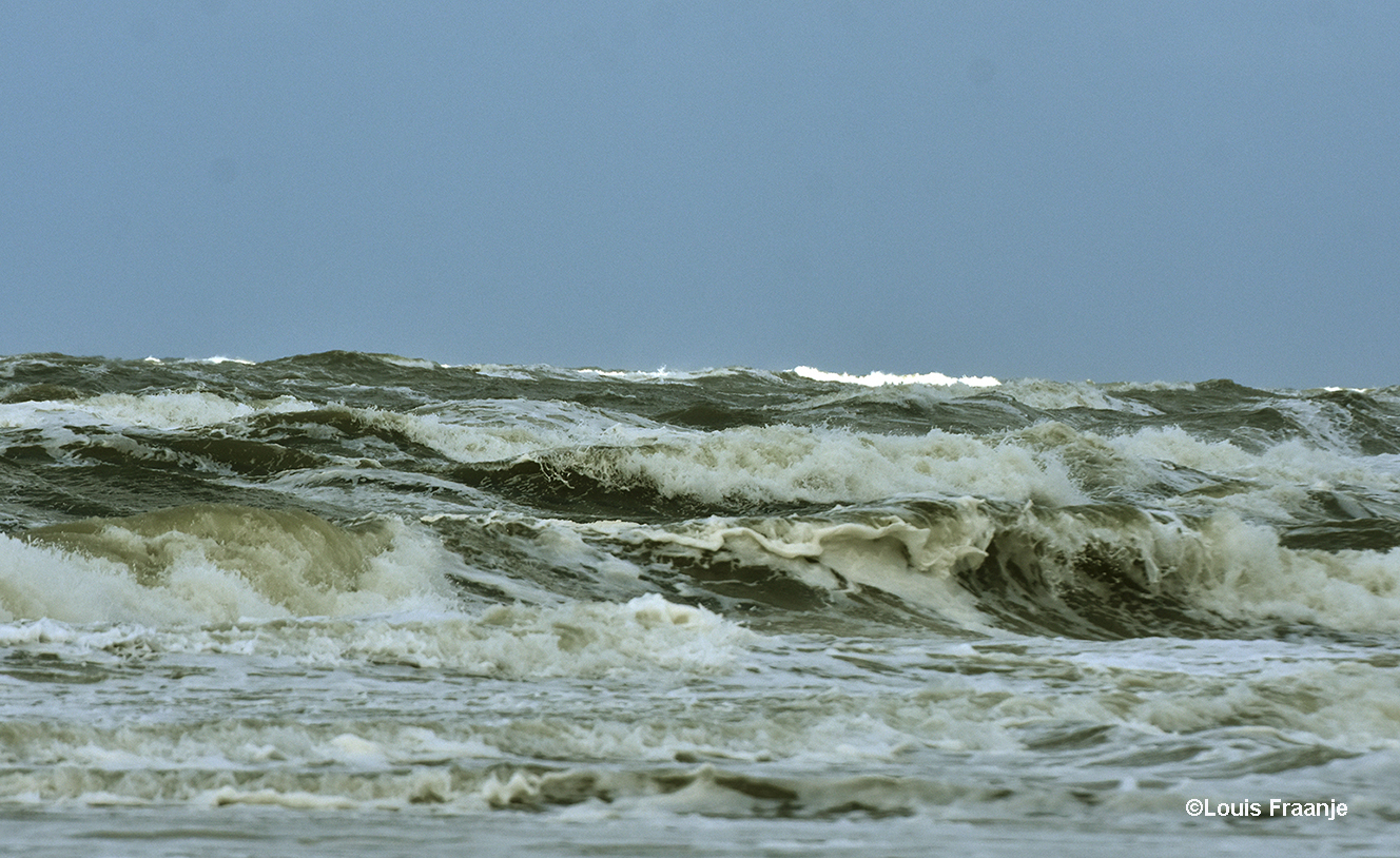 De zee was onstuimig met witte schuimkoppen boven op de golven – Foto: ©Louis Fraanje