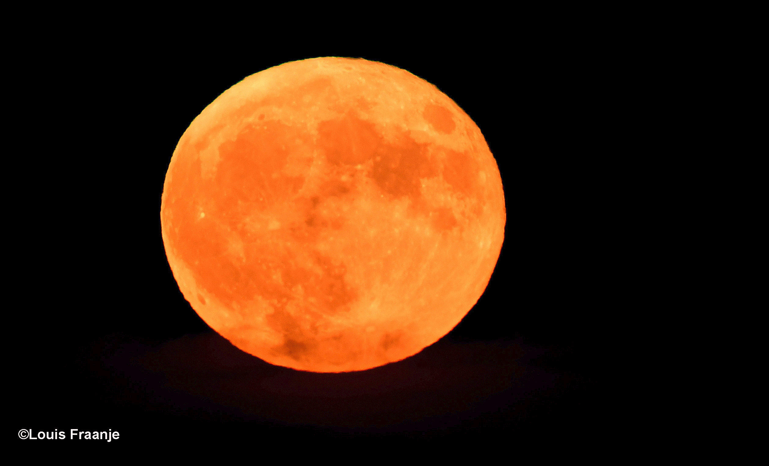 De volle maan als supermaan en aarbeienmaan aan de nachtelijke hemel - Foto: ©Louis Fraanje