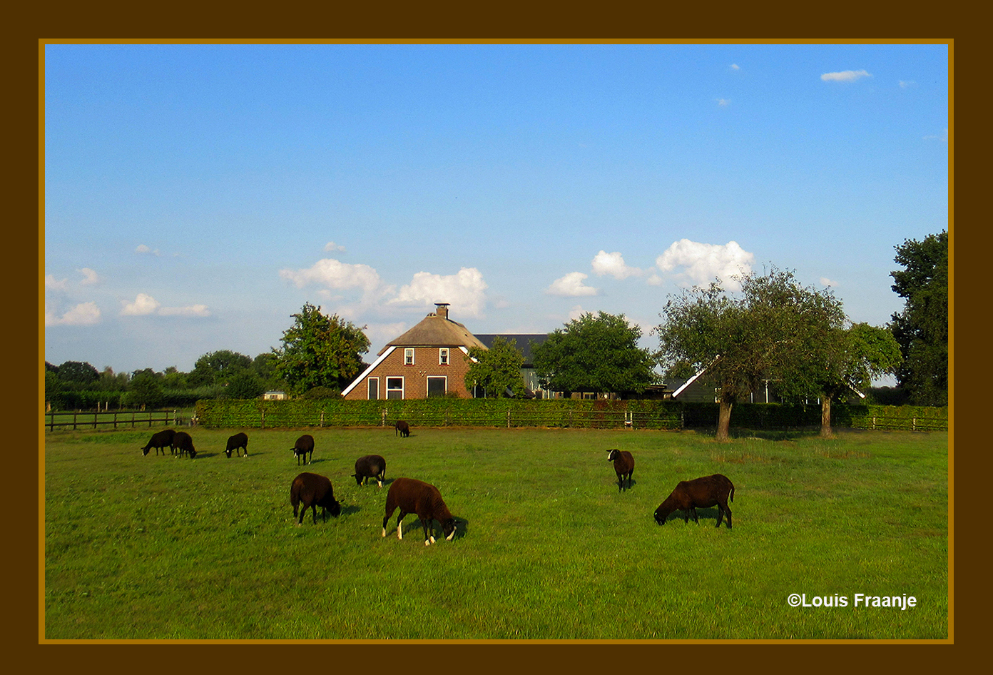 Avondrust op het platteland, boerderijtje met wat schapen in de wei - Foto:©Louis Fraanje
