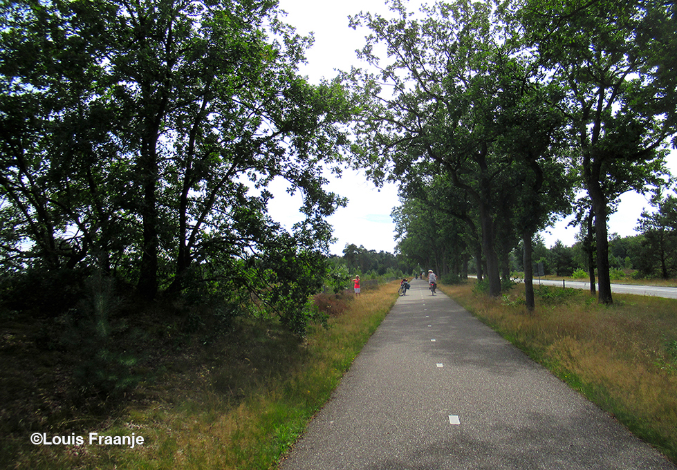 Er ligt een prachtig fietspad langs de Leusder Heide, dat naast de Doornseweg(N227) ons in de richting van Amersfoort brengt - Foto: ©Louis Fraanje