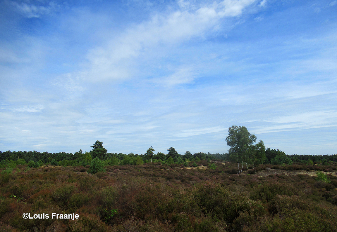 Een mooi panorama van de Leusder Heide - Foto: ©Louis Fraanje