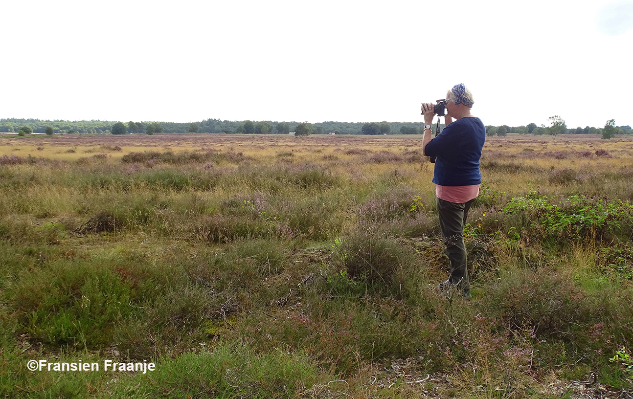 Ella probeert de uitgestrekte Edese Heide er zo mooi mogelijk op te krijgen! - Foto: ©Fransien Fraanje
