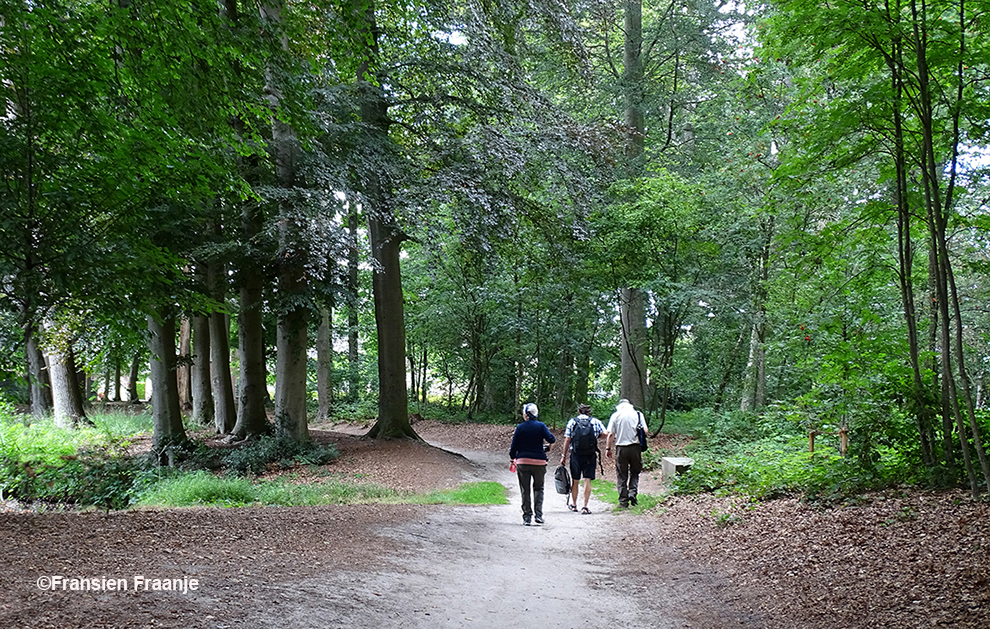 Heerlijk wandelen en genieten in het Kasteelpark - Foto: ©Fransien Fraanje