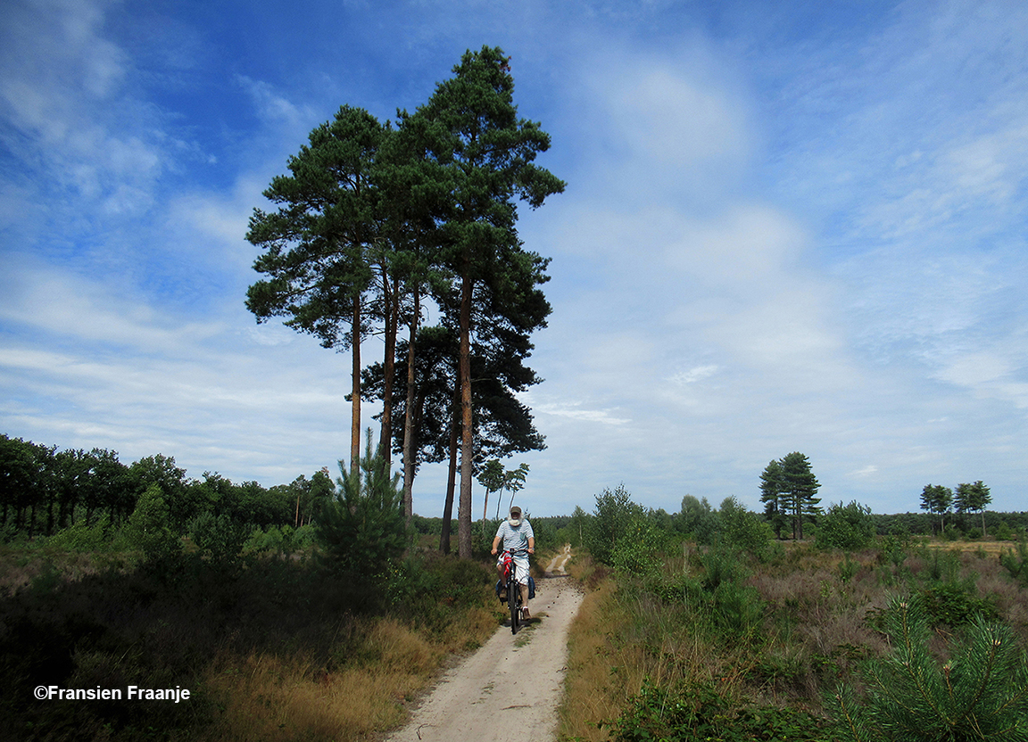 Heerlijk over de Leusder Heide op Landgoed Den Treek Henschoten - Foto: ©Fransien Fraanje