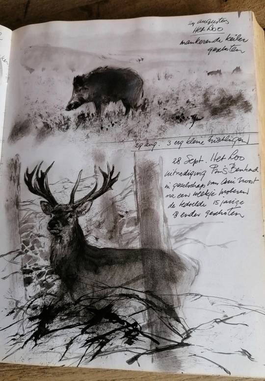 De pagina in het logboek met illustratie van het hert en bijgaande tekst - Foto: ©Tok Poortvliet