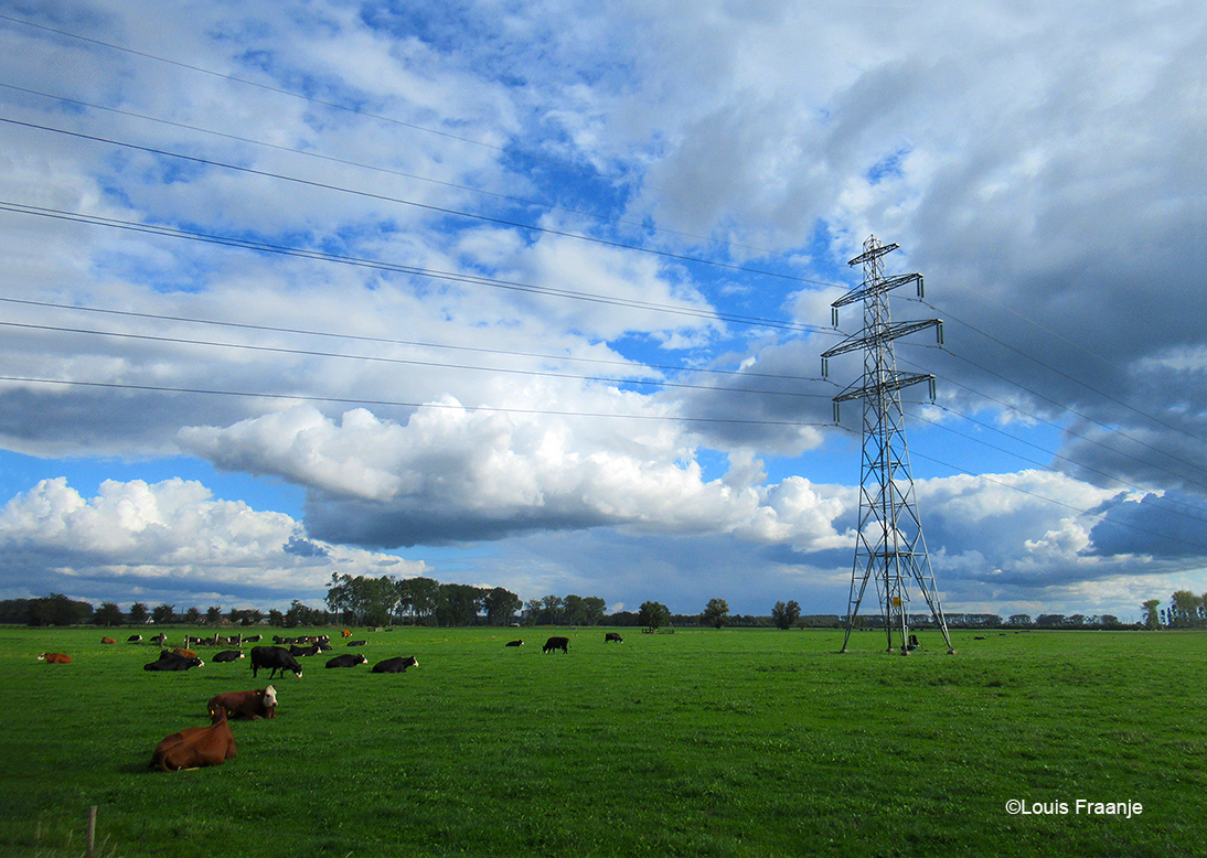 Een heerlijk sfeertje vanaf de Heuvelweg, met de koeien in de wei en daarboven weer zo'n geweldige wolkenlucht - Foto: ©Louis Fraanje