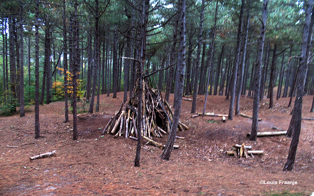 Kijk daar hebben ze een hut gebouwd, zoals wij vroeger ook vaak deden - Foto: ©Louis Fraanje