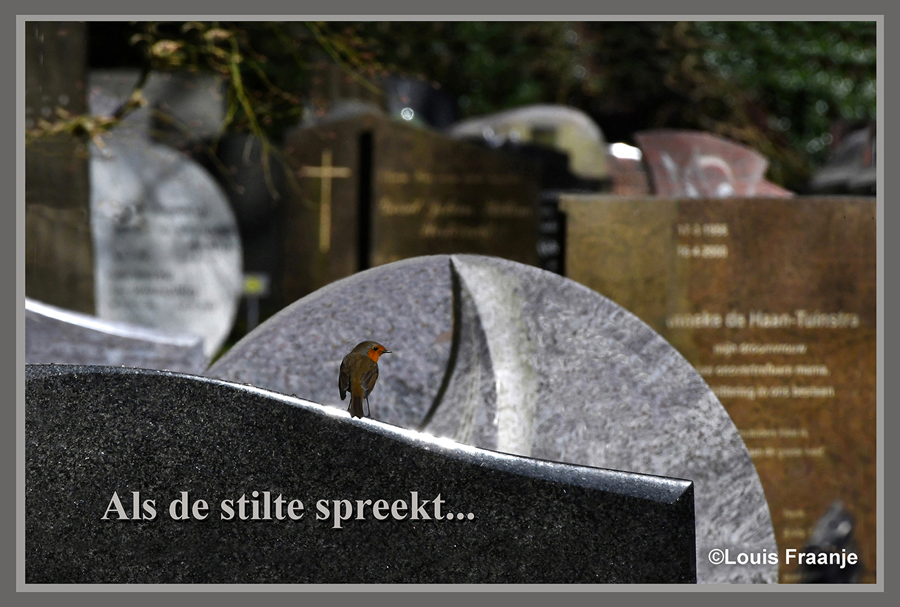 Zomaar ergens op een begraafplaats, wordt je ineens gegrepen door de stilte – Foto: ©Louis Fraanje