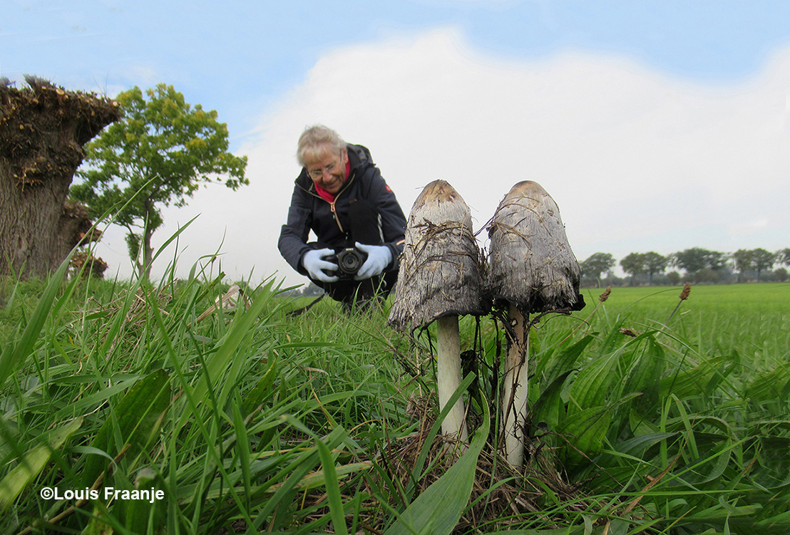 Wil je even een plaatje schieten van de paddenstoelen, krijg ik ook Fransien in beeld - Foto: ©Louis Fraanje