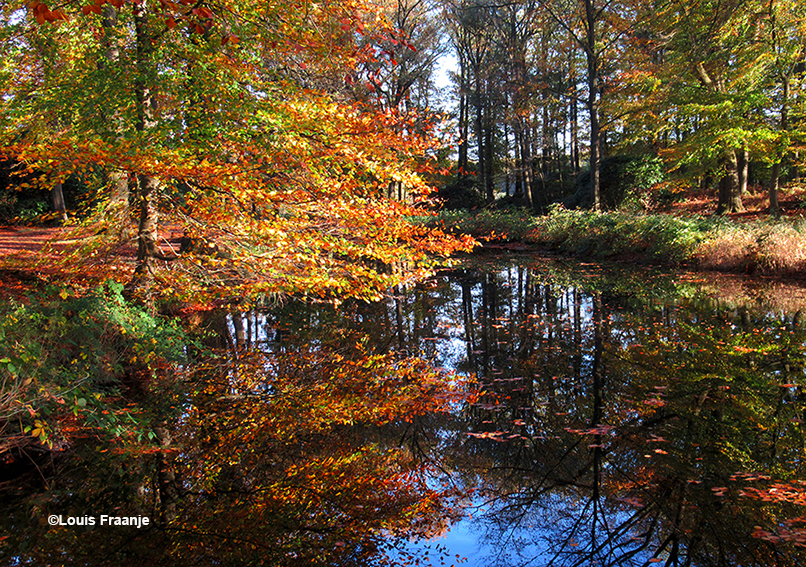 Al die prachtige herfstkleuren weerspiegelen in het water - Foto: ©Louis Fraanje