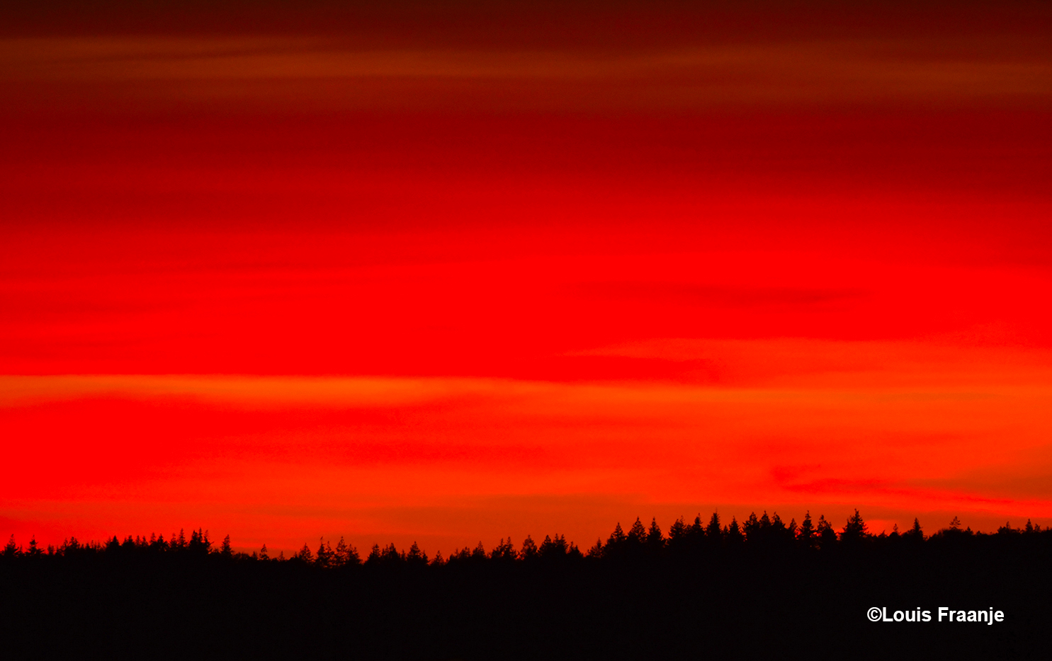 De avondhemel kleurde boven de bossen aan de horizon zo diep rood - Foto: ©Louis Fraanje
