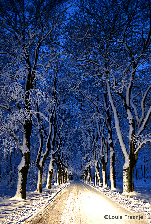 De weg met wit besneeuwde bomen leek wel op een sprookje – Foto: ©Louis Fraanje