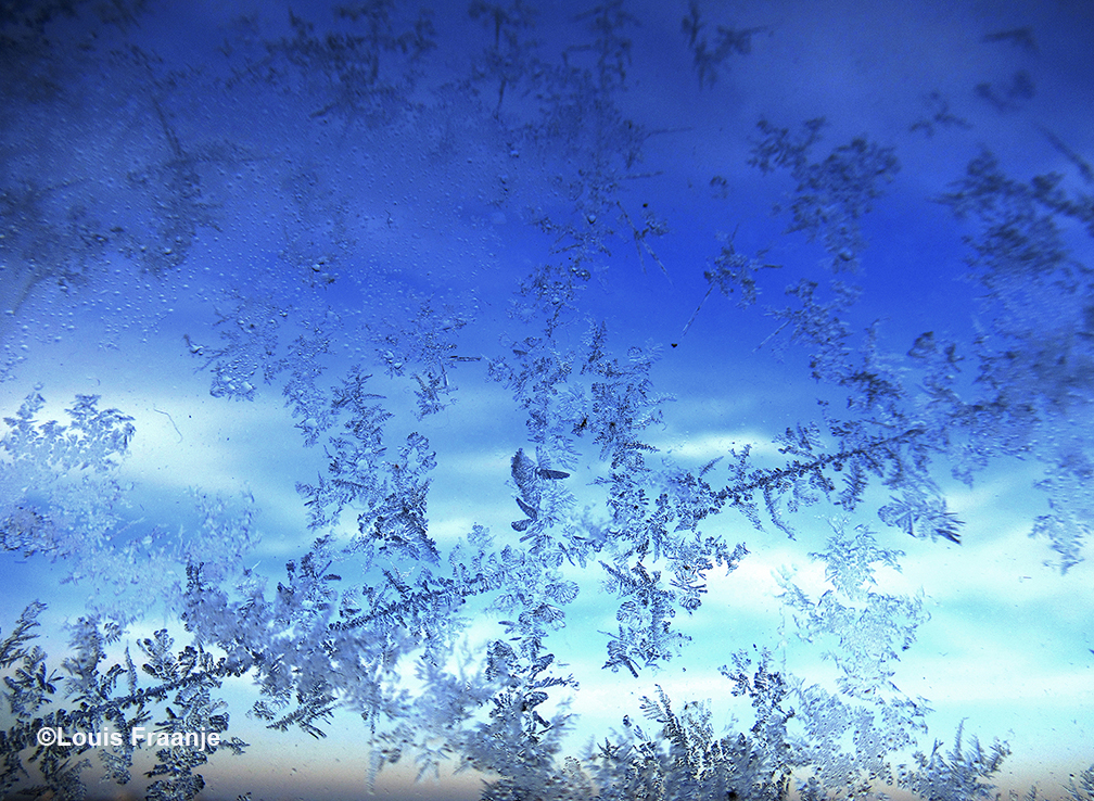Op het glas hadden zich de mooiste kunstwerkjes van ijskristallen gevormd - Foto: ©Louis Fraanje