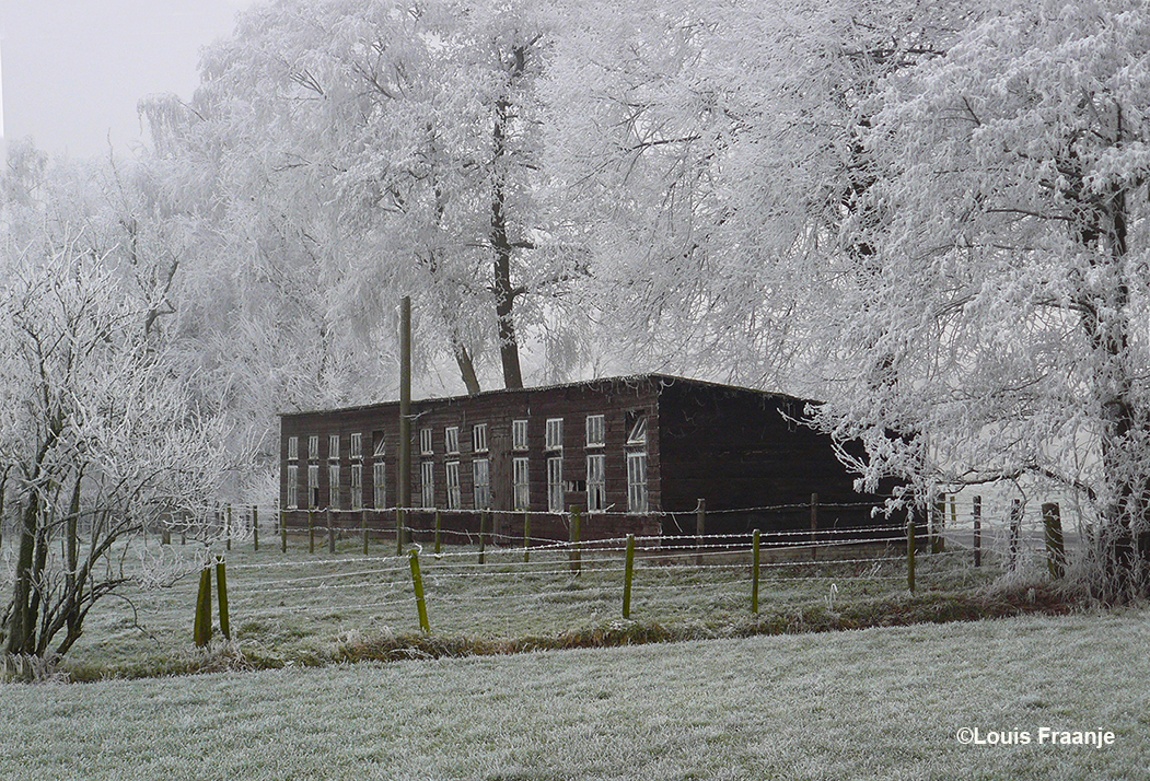 Het oude kippenhok, wit berijpt in de winter december 2007 – Foto: ©Louis Fraanje