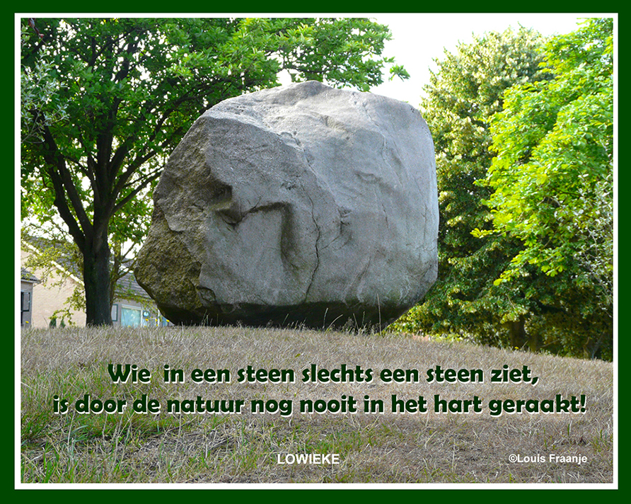 Deze enorme zwerfsteen ligt op een heuvel in Doornspijk - Foto: ©Louis Fraanje