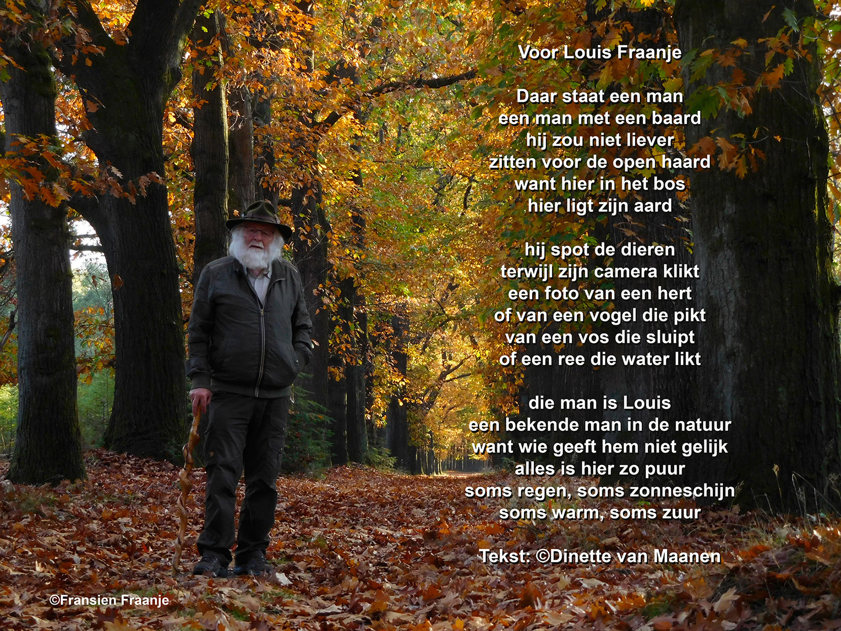 Louis in het herfstbos op de Veluwe - Foto: ©Fransien Fraanje en tekst: ©Dinette van Maanen