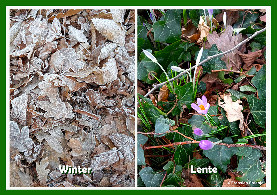 Winter en Lente een tweeluik! - Foto: ©Fransien Fraanje