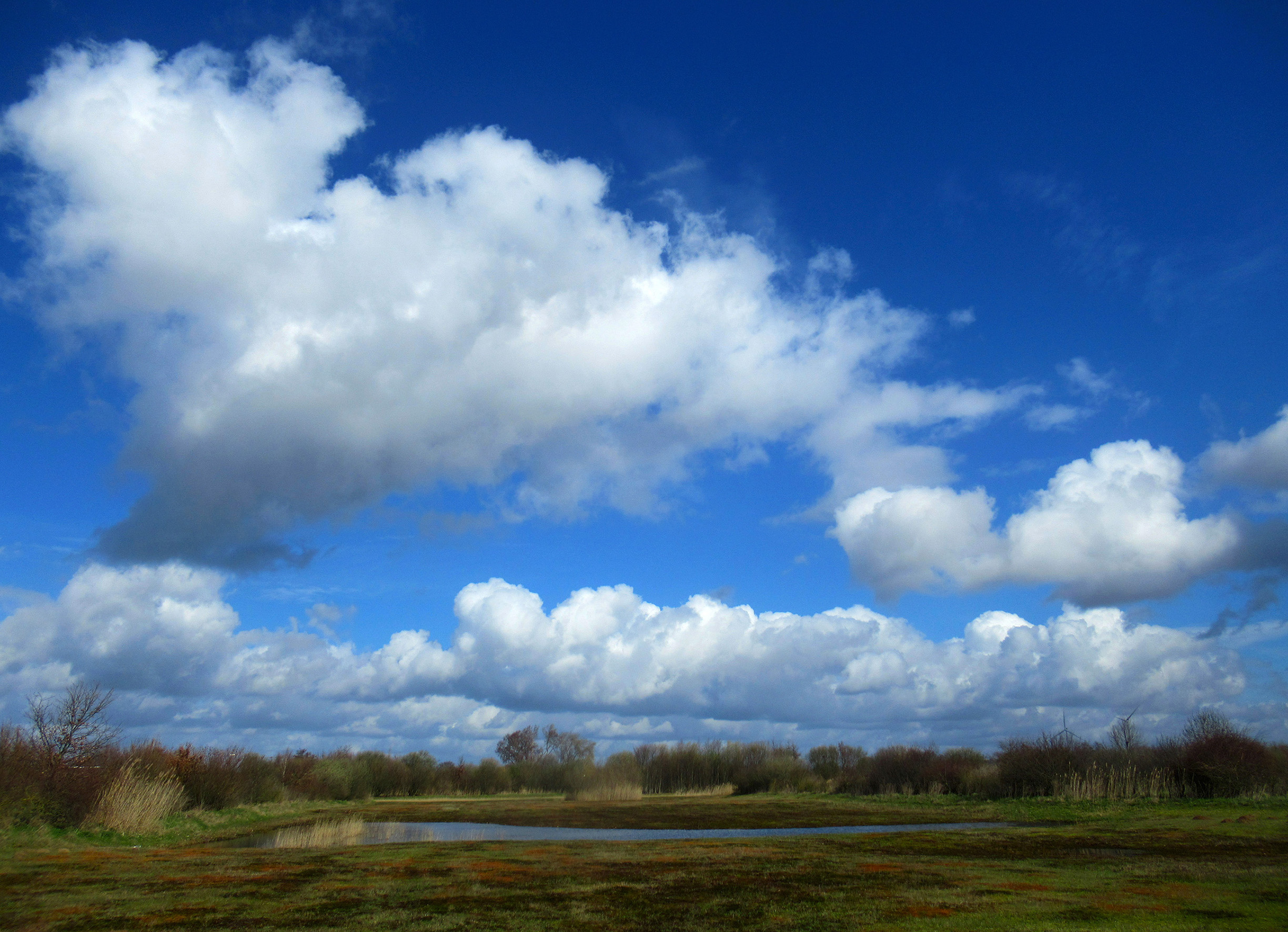 Het stukje natuurgebied De Groene Grens gezien vanaf de Meentdijk - Foto: ©Louis Fraanje