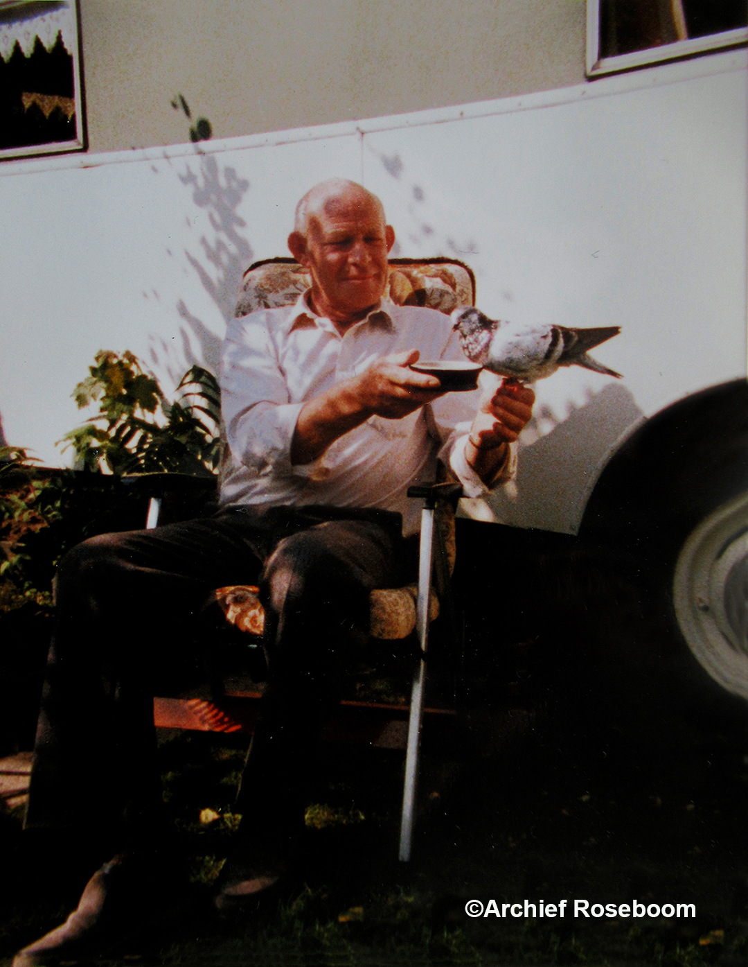 Buurman Gijs Roseboom(†) met een duif op zijn hand naast het huis - Foto: ©Archief Roseboom