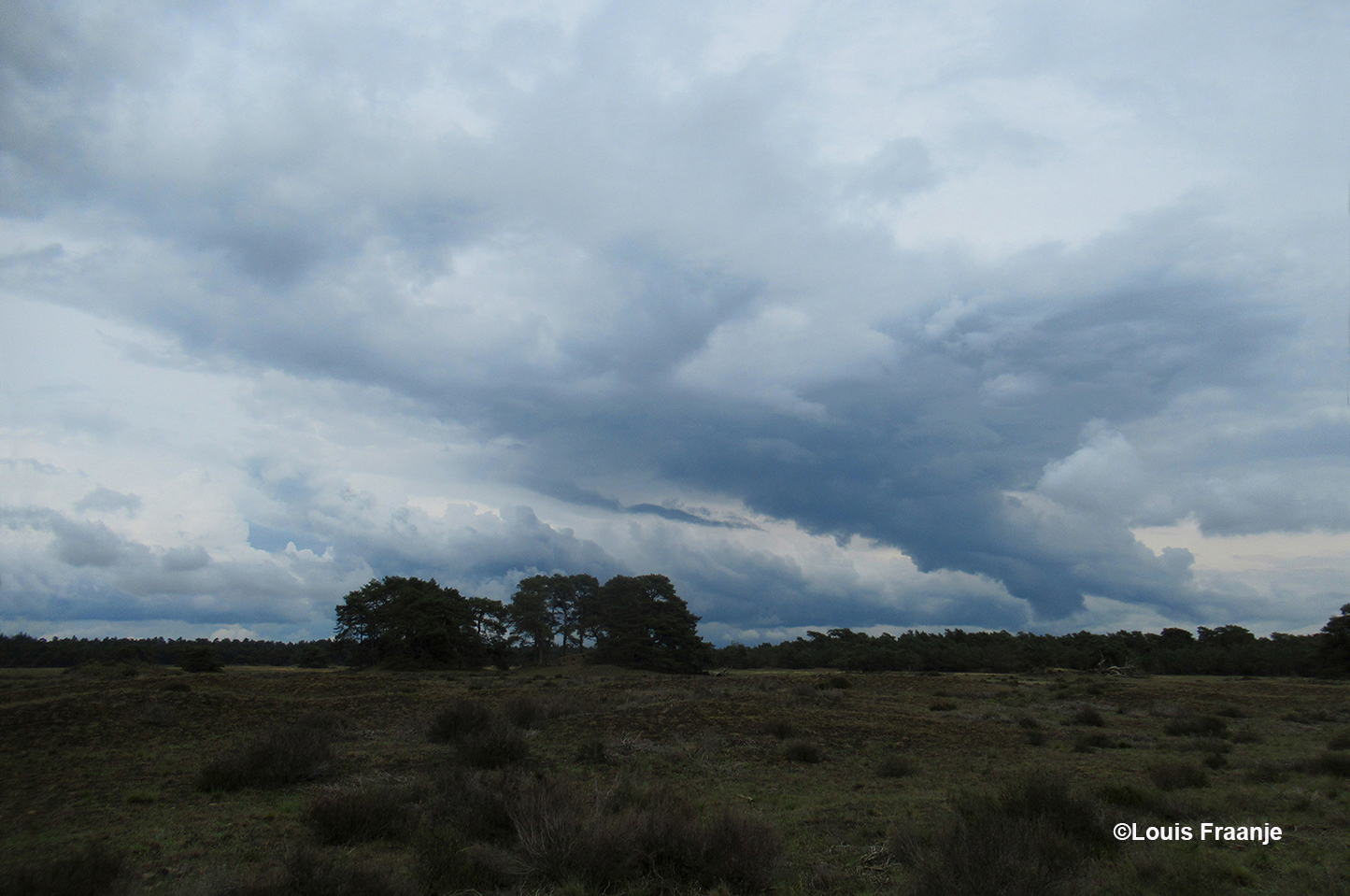 Genieten van de geweldige grijs/blauwe wolkenluchten boven de heide - Foto: ©Louis Fraanje