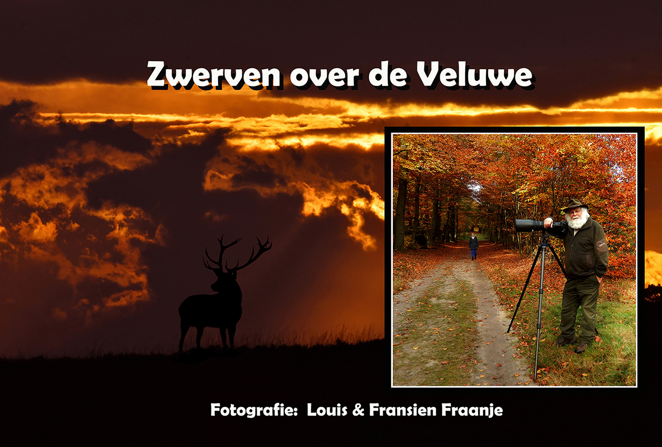 Fotopresentatie "Zwerven over de Veluwe" - Foto: ©JGS/Fransien & Louis Fraanje