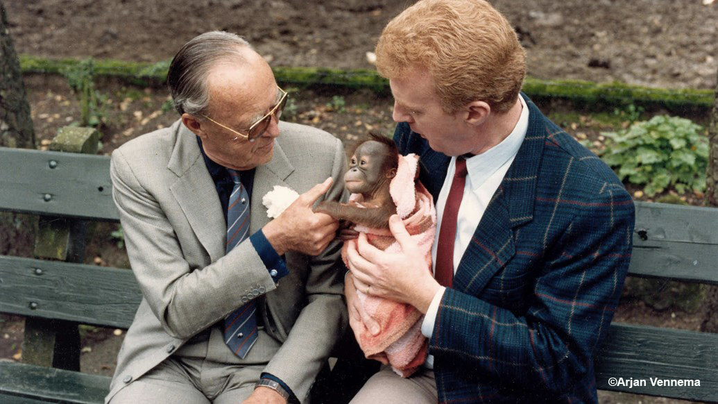Prins Bernhard en André van Duin met orang-oetan Sabientje - Foto: ©Arjan Vennema/Burgers’ Zoo