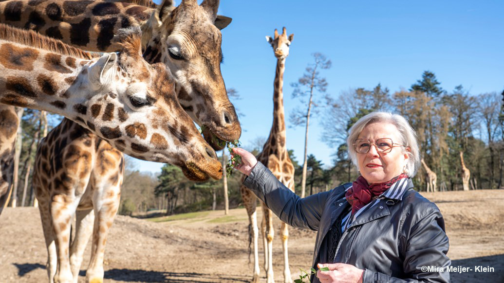 Mevrouw Maura Taeymans tijdens haar afscheid in mei 2023 - Foto: ©Mira Meijer Klein/Burgers’ Zoo