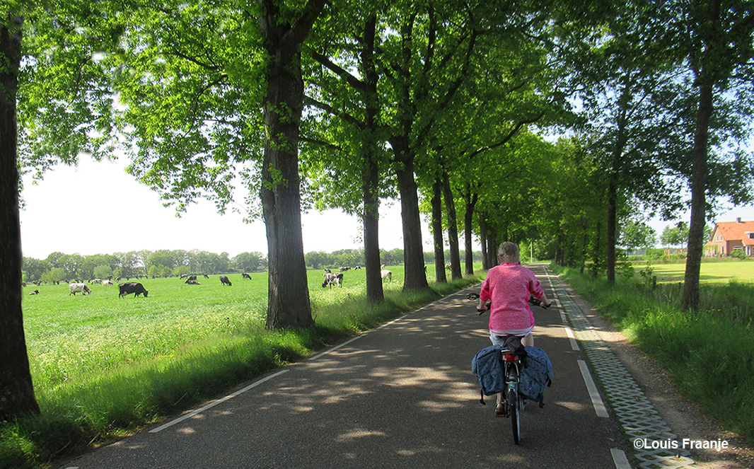 Via de Voskuilerweg door het boerenland onder de schaduwrijke bomen, genieten in optima forma! - Foto: ©Louis Fraanje