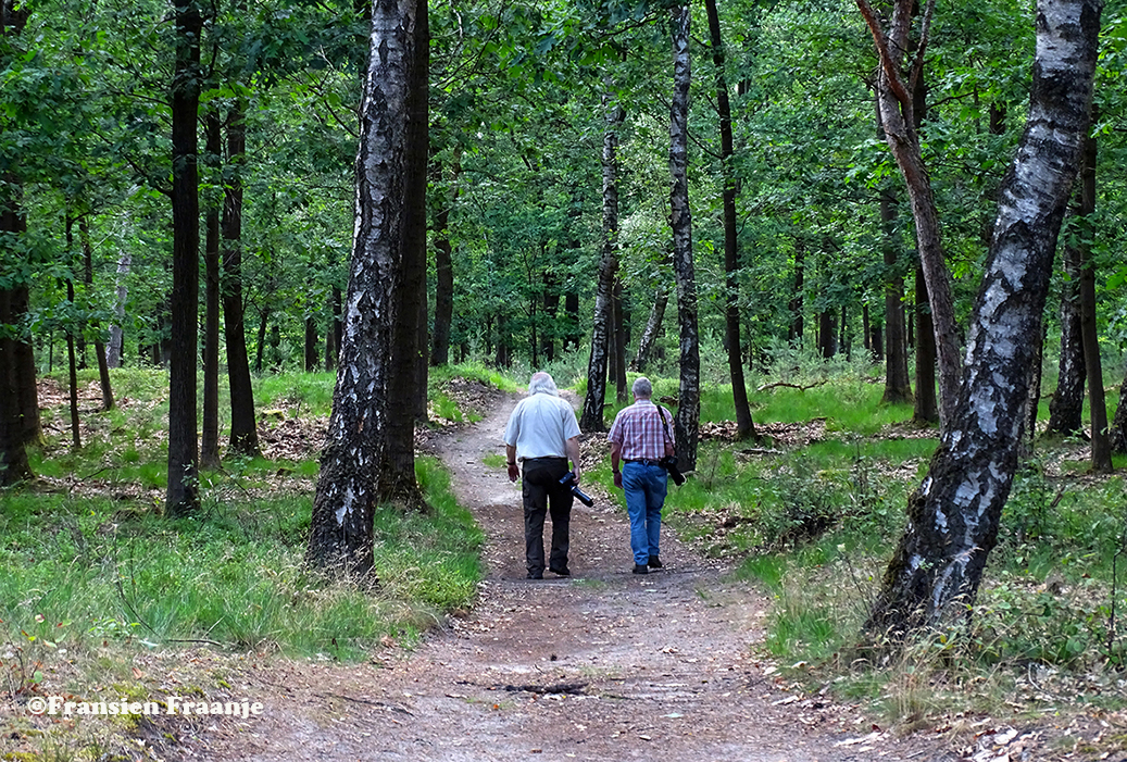 Louis en Florus gaan op pad door het bos op de Hoge Veluwe- Foto: ©Fransien Fraanje