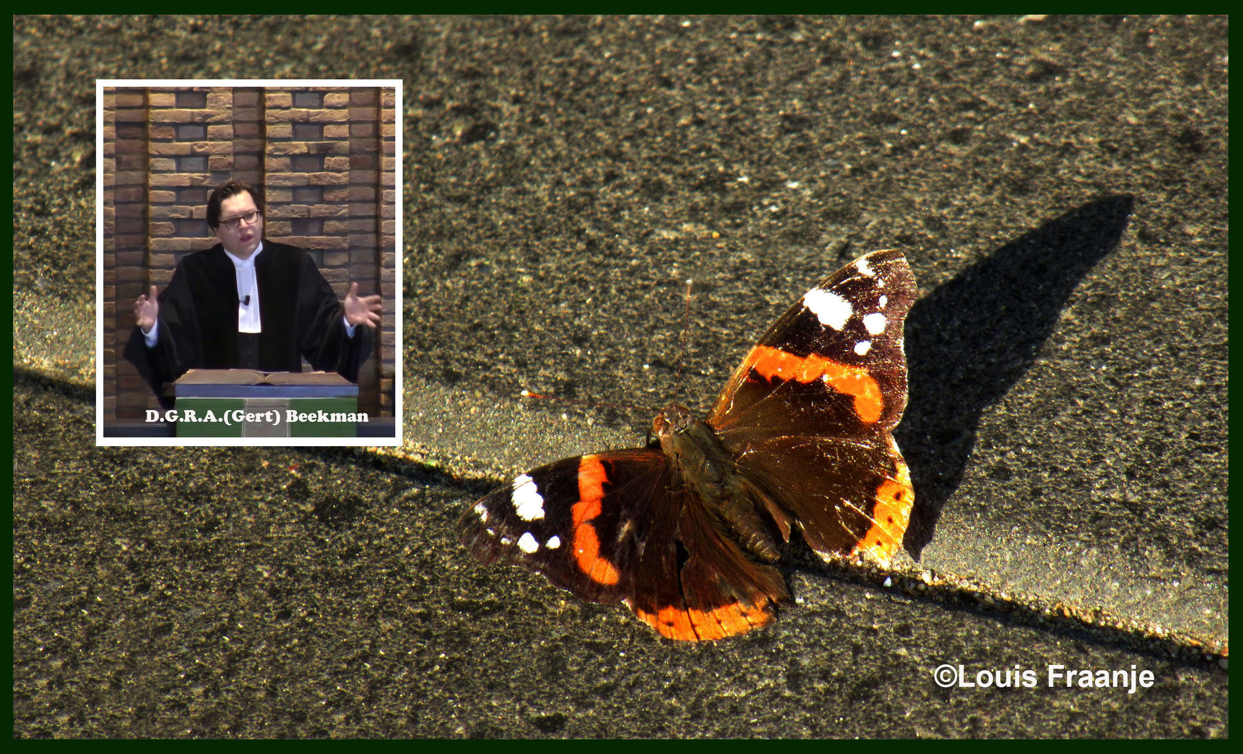 Dominee Gert Beekman op de preekstoel en de Atalanta vlinder op de stoep - Foto: ©Louis Fraanje