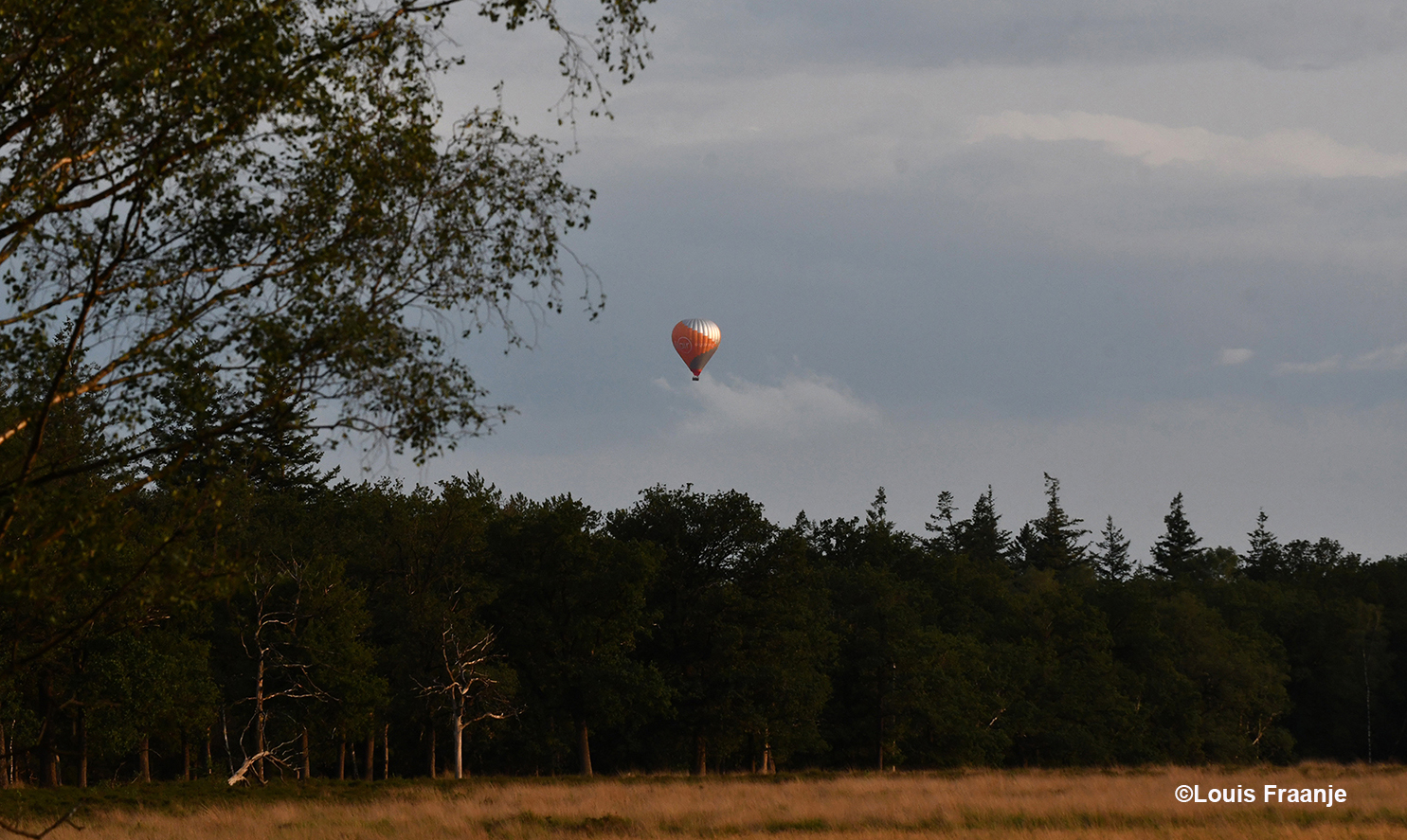  In de verte zien we een luchtballon boven de Stadsdennen - Foto: ©Louis FraanjeOpmerkingen 