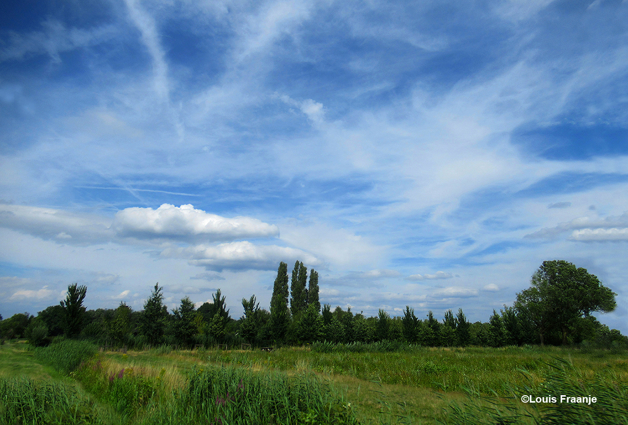 Wolken en windveren boven het veen - Foto: ©Louis Fraanje