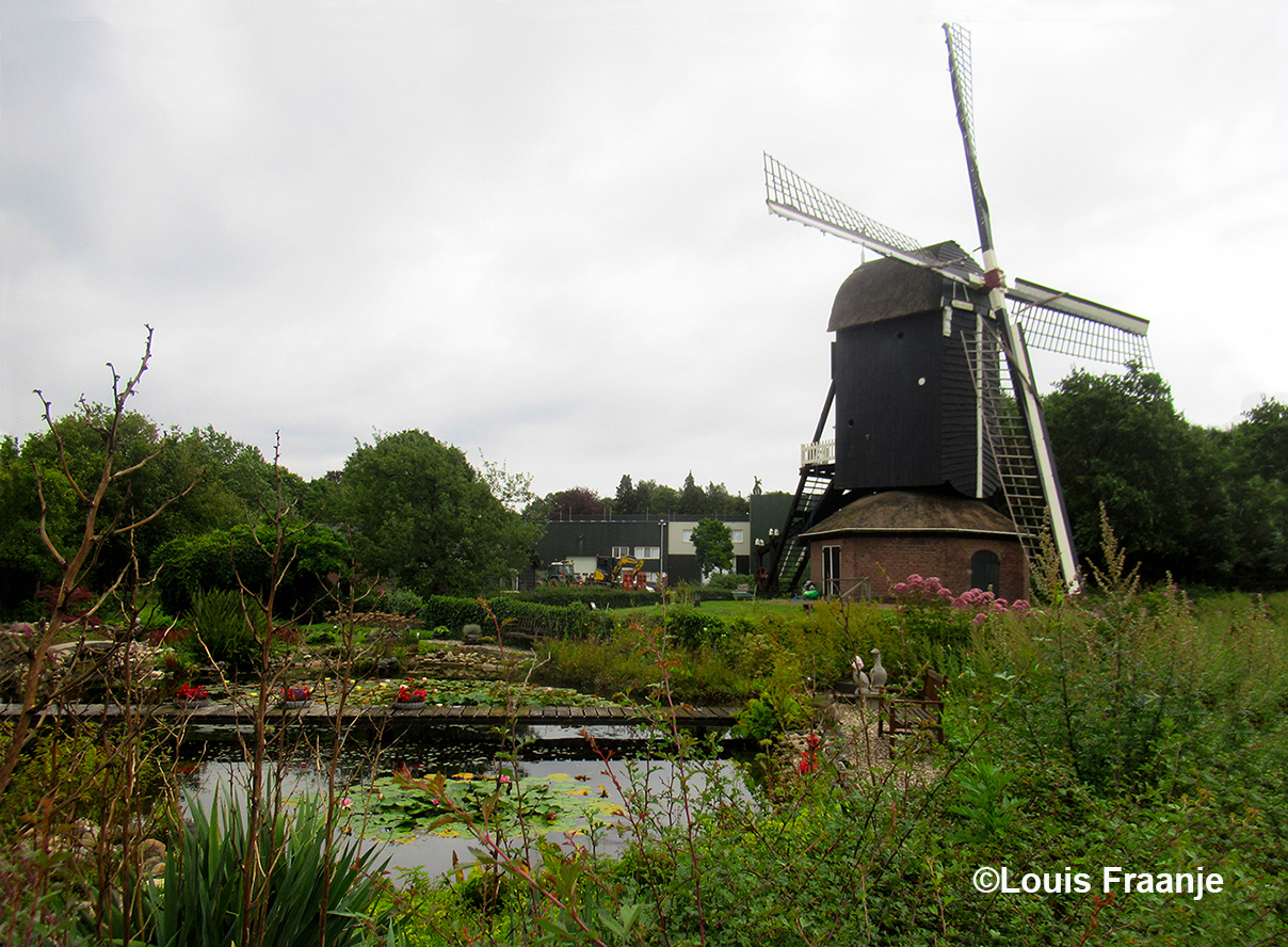 Vanuit de tuin kijken we direct op de prachtige molen Den Olden Florus - Foto: ©Louis Fraanje