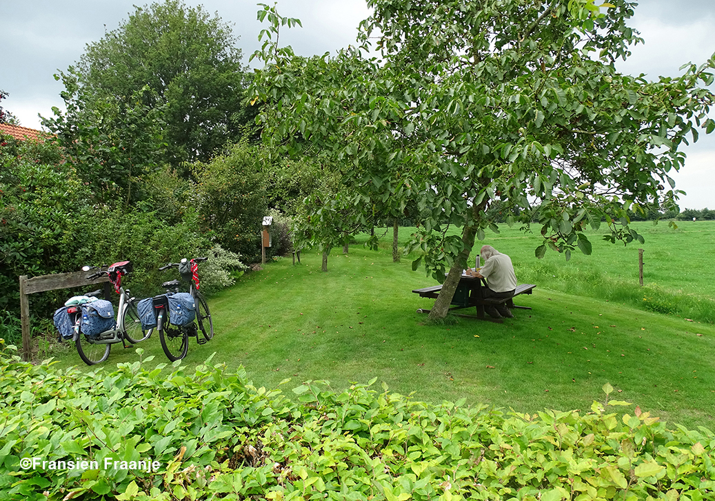 Een ruime picknickplek op het platteland - Foto: ©Fransien Fraanje