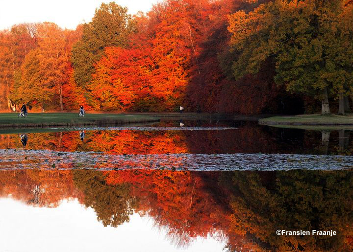 Prachtige herfstkleuren in het late strijklicht, weerspiegelen in de grote vijver op NP De Hoge Veluwe - Foto: ©Fransien Fraanje