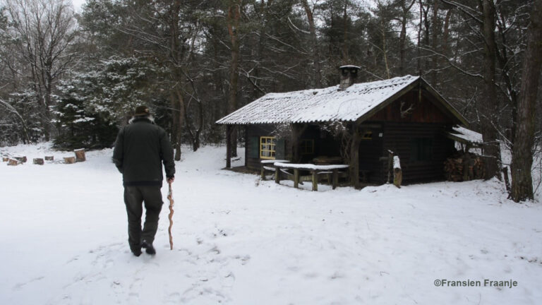 Dan komt aan het einde van deze winterdag de oude jachthut weer in zicht – Foto: ©Fransien Fraanje