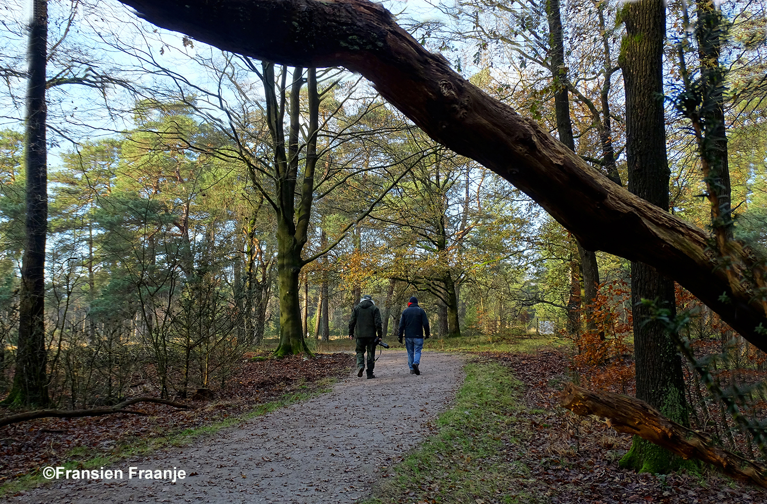 Natuurvrienden Louis en Florus denken er het hunne van en lopen verder - Foto: ©Fransien Fraanje