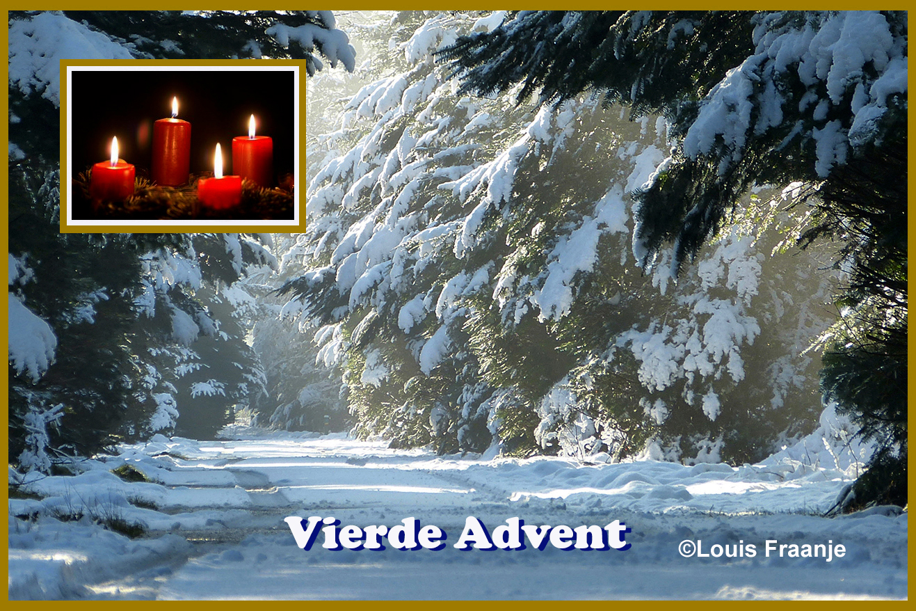 Wat een belofte! Met een mooi winterbeeld op de Veluwe – Foto: ©Louis Fraanje