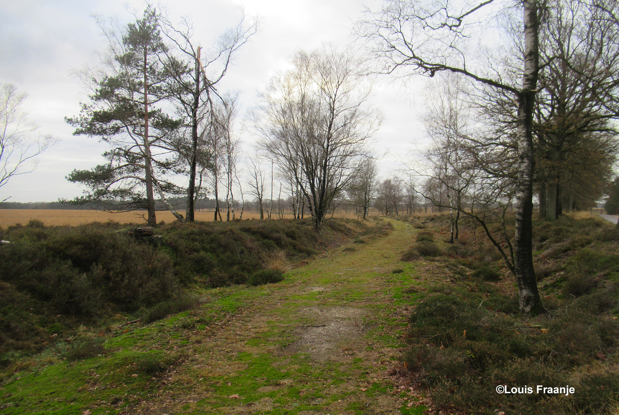 Een oude zandweg op het Aalderinksveld met historie, omdat hier in de Tweede Wereldoorlog het zogenoemde 'bommenlijntje' liep. - Foto: ©Louis Fraanje