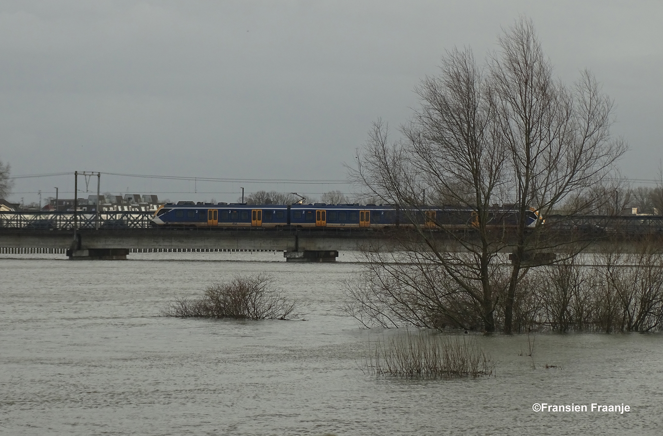  De trein komt net over de brug rijden - Foto: ©Fransien Fraanje